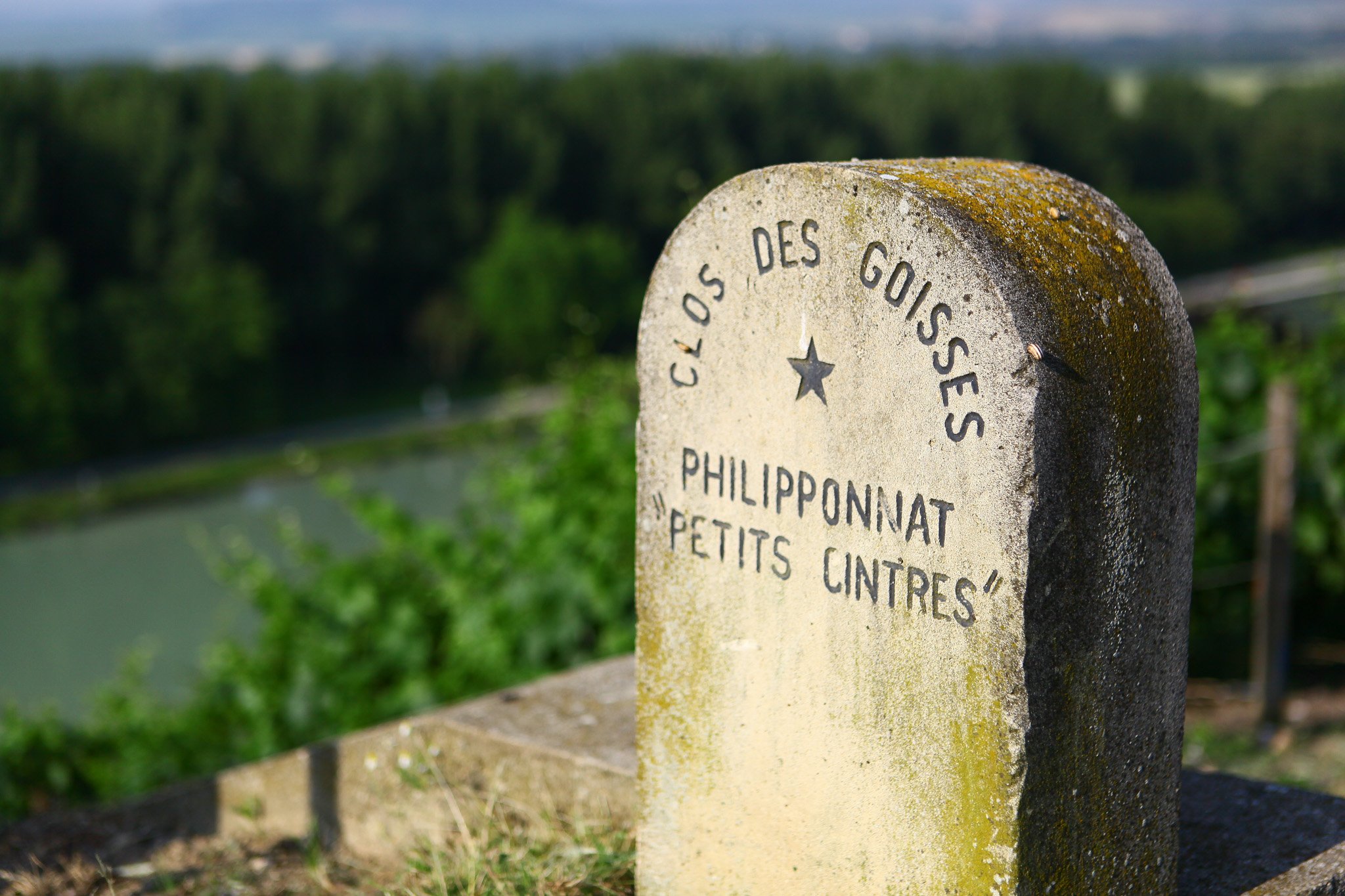 Historical plots - Champagne Philipponnat